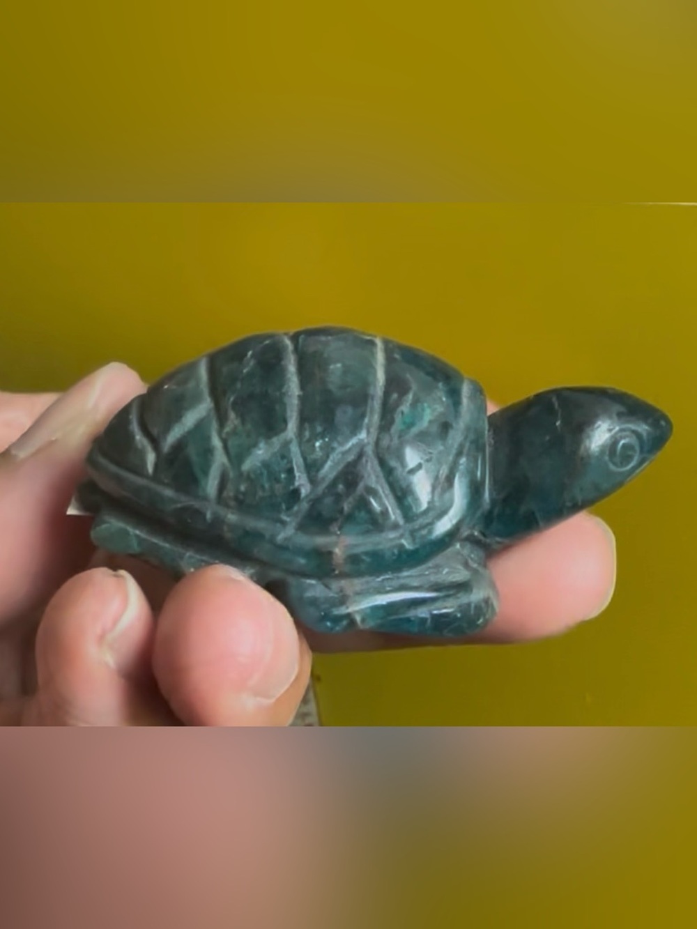 Blue Apatite Crystal Sea Turtle